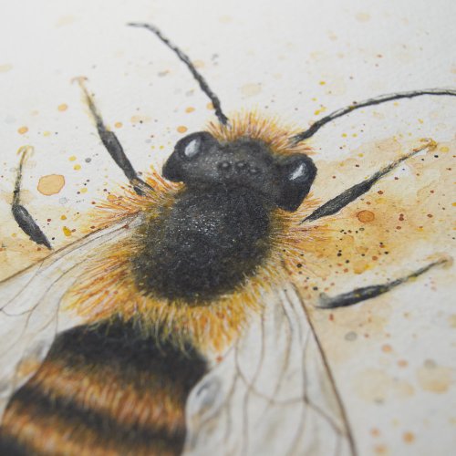 Včela samotářka - Originál A4