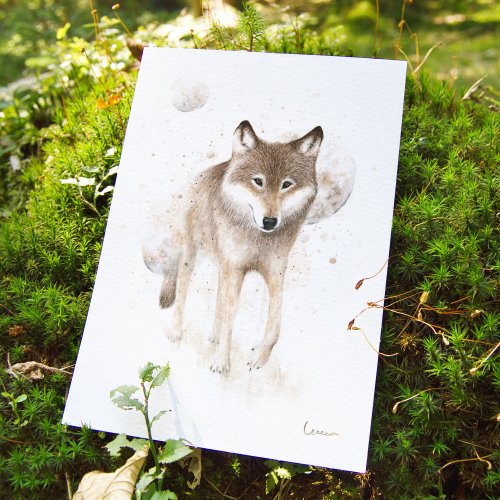 Plakát Vlk
