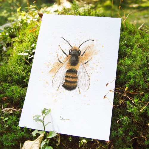 Plakát Včela samotářka - Formát: A3