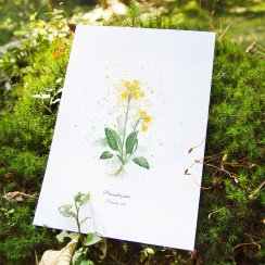 Plakát Jarní rostlinky - zvýhodněný set