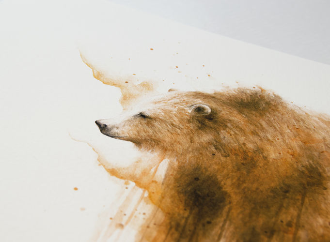 Plakát Medvěd - Formát: A4