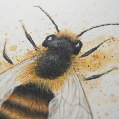 Včela samotářka - Originál A4
